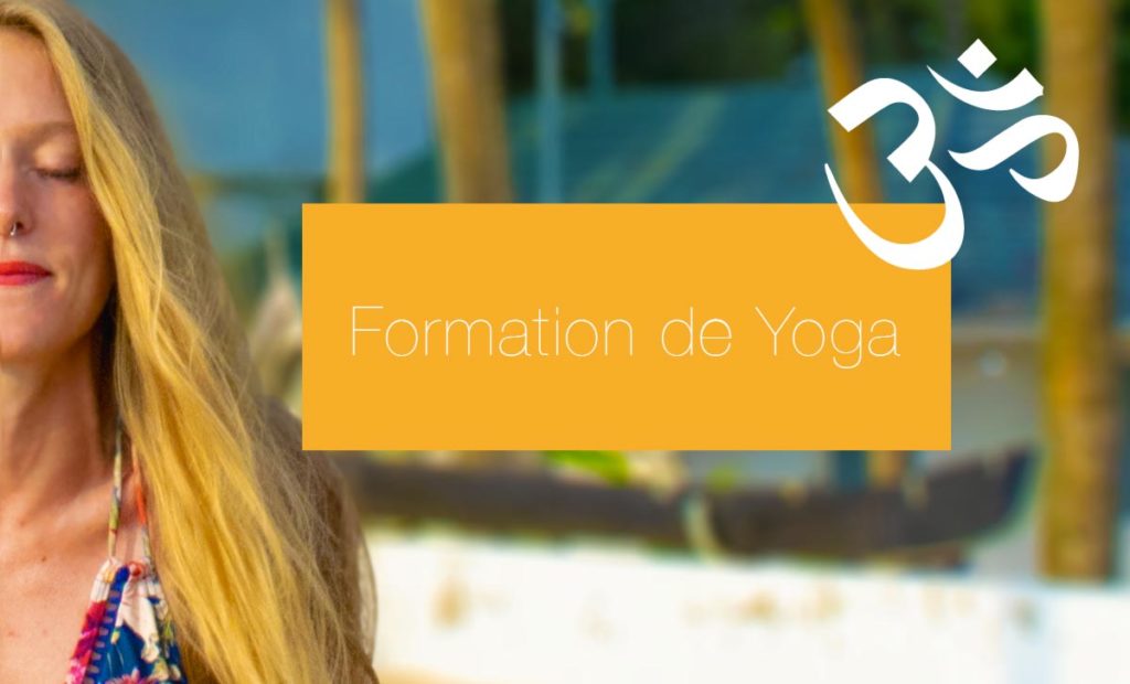 article-blog-conseils-formations-initiale-yoga-et-asana