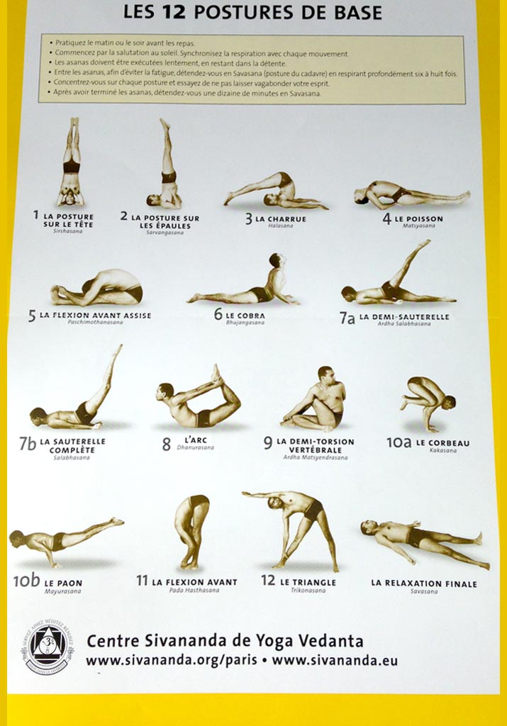 12-postures-de-bases-decouverte-hatha-yoga-traditionnel-inde-sivananda-vedanta-asanas-debutants-etirements-colonne-vertebrale