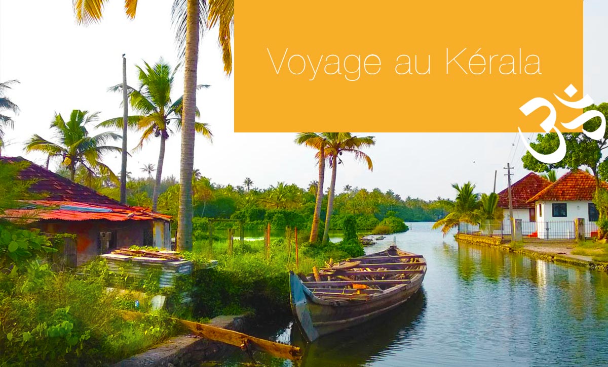 yoga-kumarakom-activites-tourisme-backwaters-paysage-palmiers-ruisseaux-barque-sauvage-paix-calme