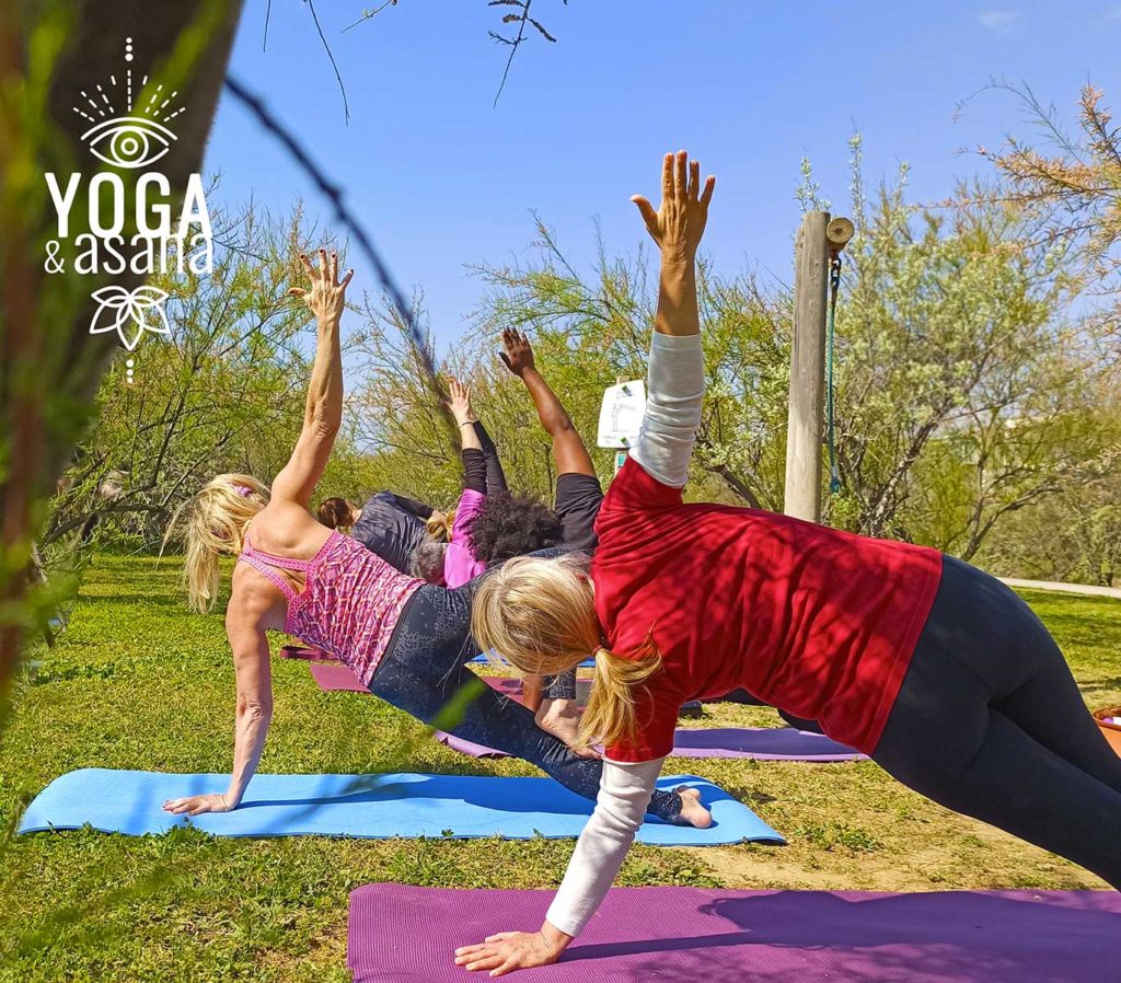 cours de yoga collectif dans un parc à Sète avec le studio Yoga & Asana