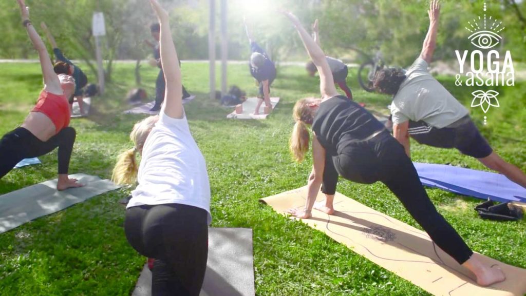 cours de yoga collectif dans un parc à sète avec le studio Yoga & Asana