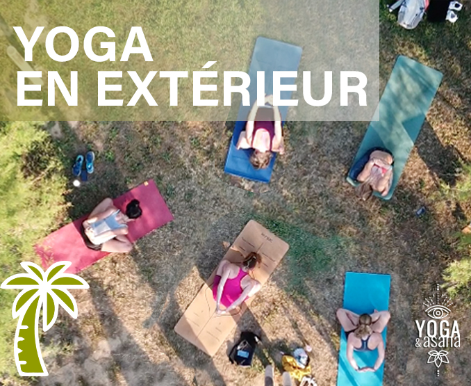 yoga-et-asana-sète-sete-cours-collectifs-hatha-vinyasa-parc-palmier-végétation-villeroy-herault-asana copie