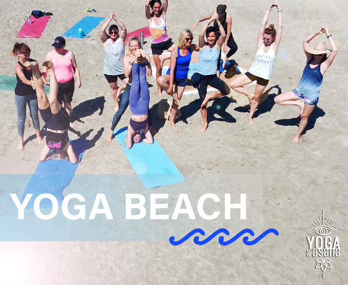 groupe d'élève de yoga et asana cours de yoga collectif à la plage