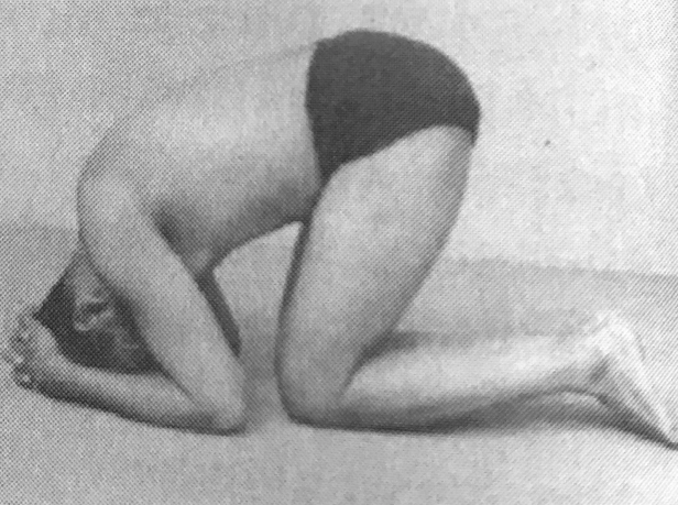 iyengar-cours-yoga-asana-sirsasana-posture-de-base-sur-la-tete-cours-sete-sète