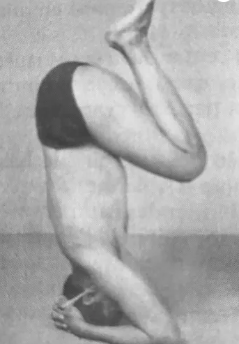homme qui commence le sirsasana, posture de base sur la tête étapes par étapes, jambes tendues , tête dans les bras en yoga