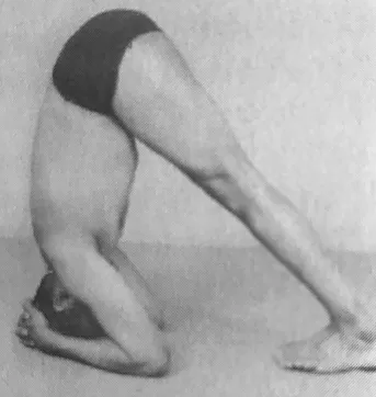 homme qui commence le sirsasana, posture de base sur la tête étape par étape le dos enroulé , tête dans les bras en yoga