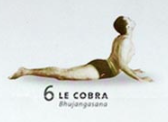 yoga-et-asana-studio-sète-sete-budjangasana-cobra-cours-posture-hatha-vinyasa-ashtanga-pranayamas-